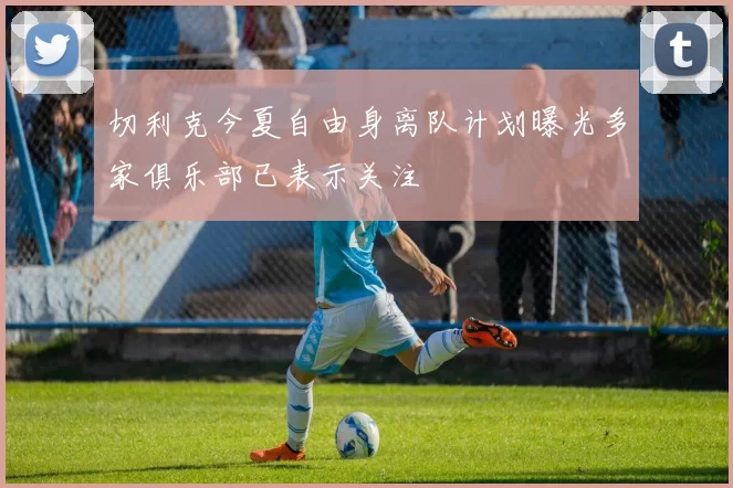 切利克今夏自由身离队计划曝光多家俱乐部已表示关注